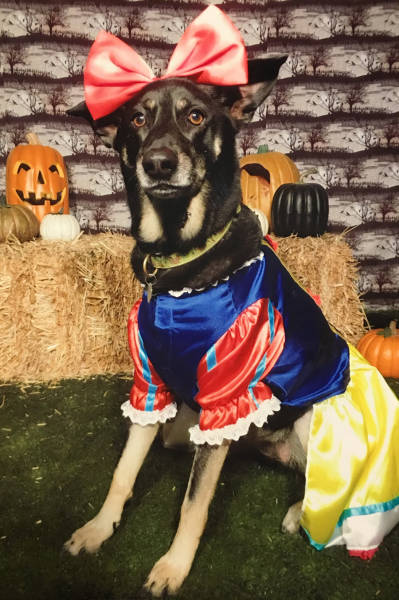 morning picdump 53 pics 15.html - 53 HD Photos | Premium Gallery 2015