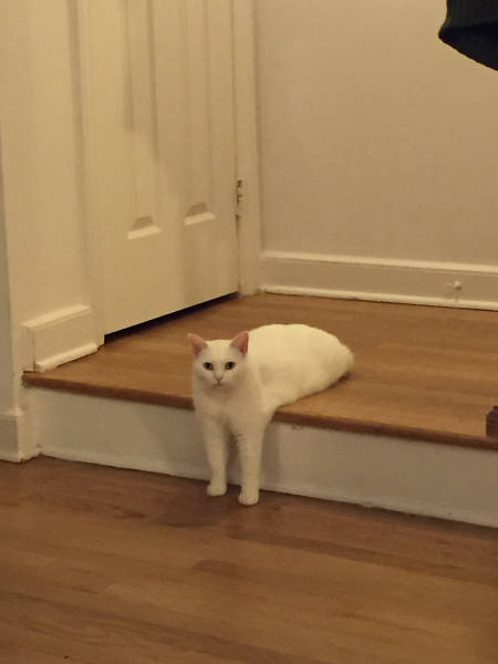 morning picdump 53 pics 15.html - 53 HD Photos | Premium Gallery 2015