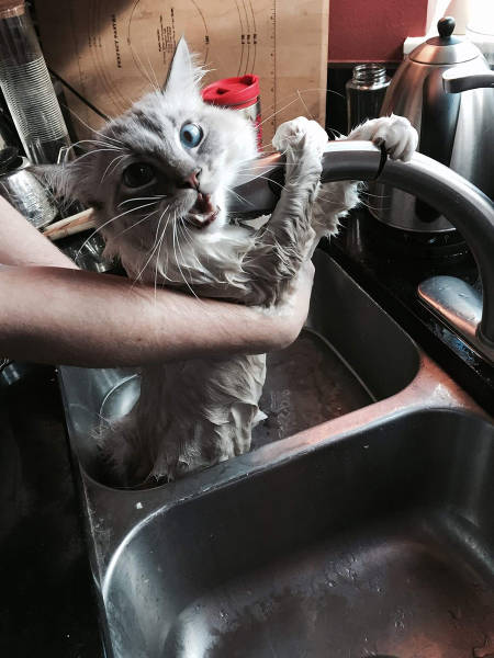 morning picdump 53 pics 15.html - 53 HD Photos | Premium Gallery 2015