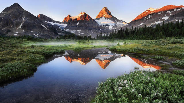 morning picdump 53 pics 15.html - 53 HD Photos | Premium Gallery 2015