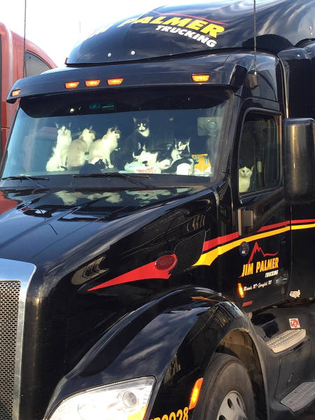 morning picdump 53 pics 24.html - 53 HD Photos | Premium Gallery 2015