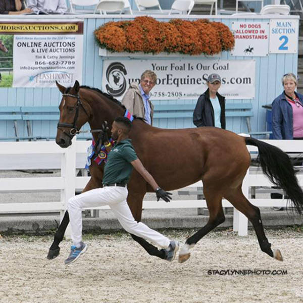 morning picdump 53 pics 24.html - 53 HD Photos | Premium Gallery 2015