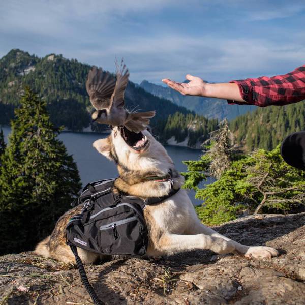 morning picdump 52 pics 7.html - 52 HD Photos | Premium Gallery 2015