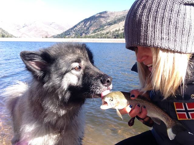 morning picdump 52 pics 7.html - 52 HD Photos | Premium Gallery 2015