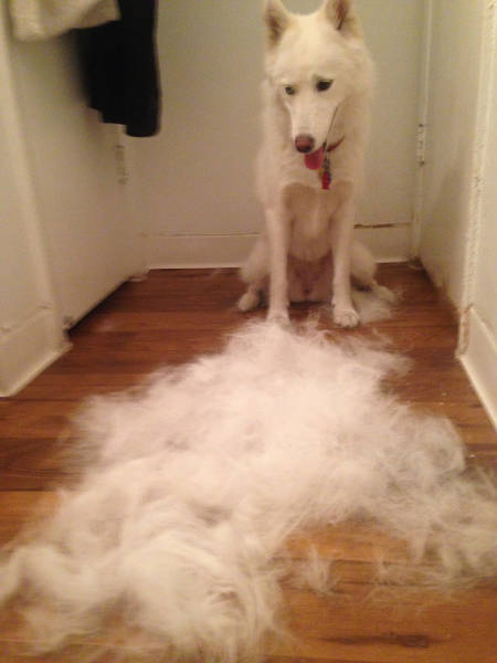 morning picdump 52 pics 7.html - 52 HD Photos | Premium Gallery 2015