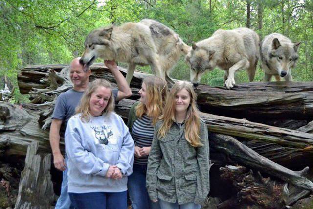 daily picdump 106 pics 9.html - 106 HD Photos | Premium Gallery 2015