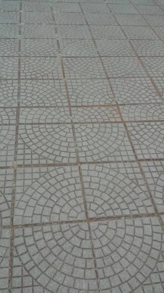 daily picdump 106 pics 9.html - 106 HD Photos | Premium Gallery 2015