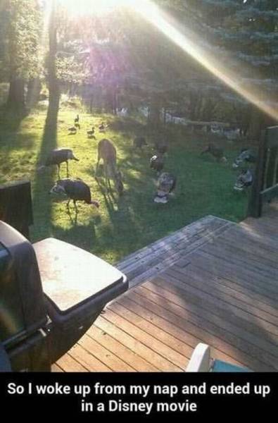 daily picdump 106 pics 9.html - 106 HD Photos | Premium Gallery 2015