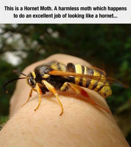 daily picdump 106 pics 9.html - 106 HD Photos | Premium Gallery 2015