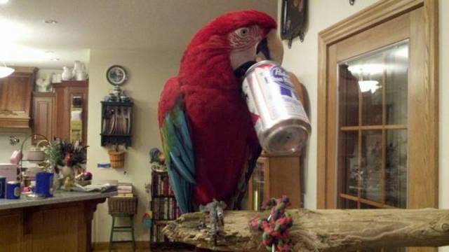 daily picdump 106 pics 9.html - 106 HD Photos | Premium Gallery 2015