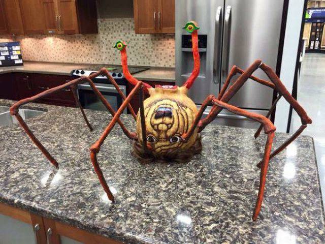 daily picdump 106 pics 9.html - 106 HD Photos | Premium Gallery 2015