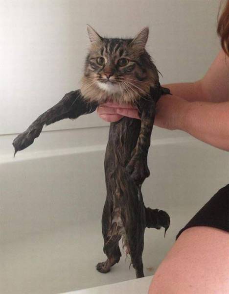 daily picdump 106 pics 9.html - 106 HD Photos | Premium Gallery 2015