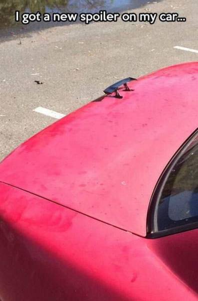 daily picdump 106 pics 9.html - 106 HD Photos | Premium Gallery 2015