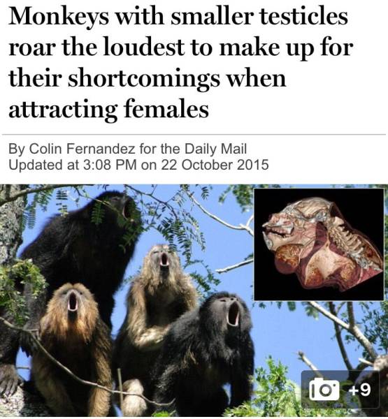 daily picdump 106 pics 9.html - 106 HD Photos | Premium Gallery 2015