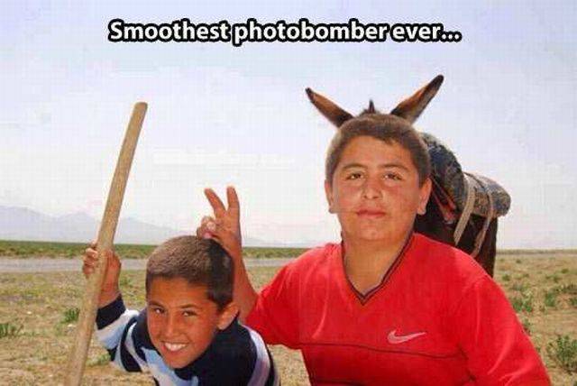 daily picdump 106 pics 9.html - 106 HD Photos | Premium Gallery 2015