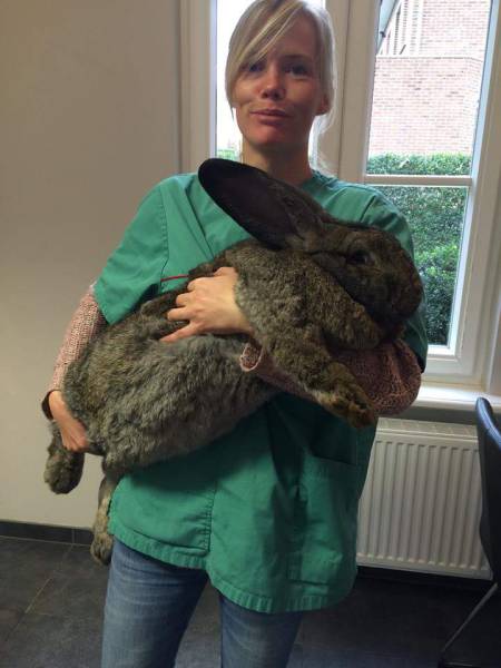 morning picdump 53 pics 21.html - 53 HD Photos | Premium Gallery 2015