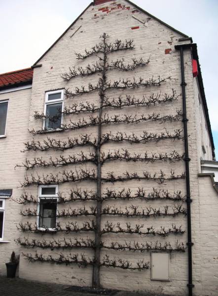 morning picdump 53 pics 21.html - 53 HD Photos | Premium Gallery 2015