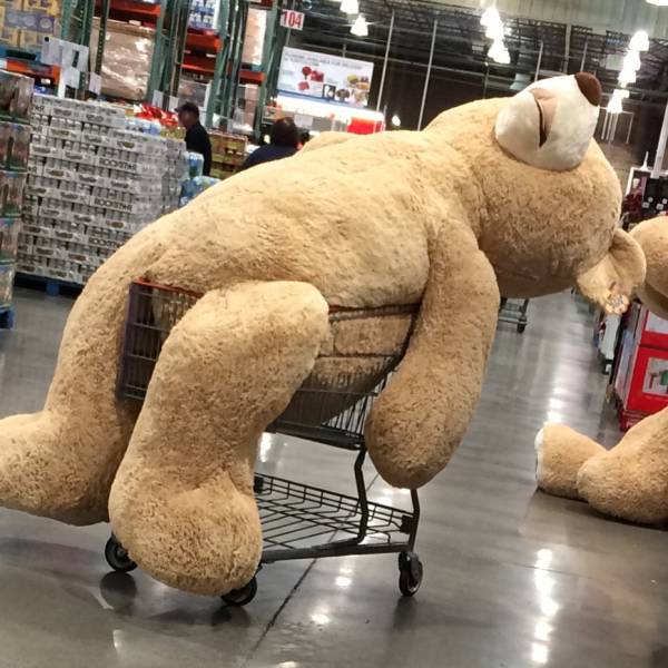 morning picdump 53 pics 21.html - 53 HD Photos | Premium Gallery 2015