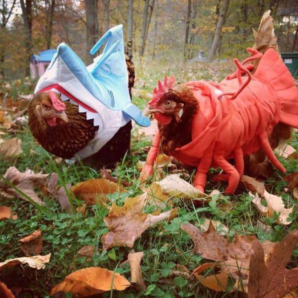 morning picdump 53 pics 21.html - 53 HD Photos | Premium Gallery 2015