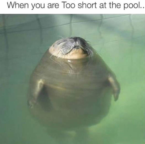 funny picdump 51 pics 3.html - 51 HD Photos | Premium Gallery 2015