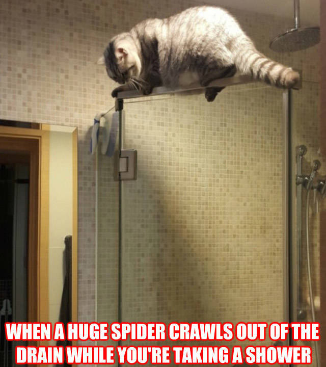 funny picdump 51 pics 3.html - 51 HD Photos | Premium Gallery 2015