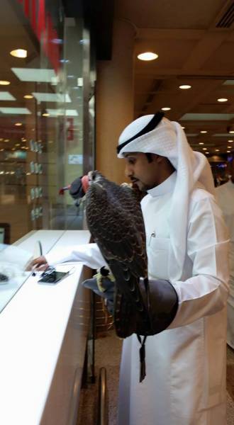 morning picdump 54 pics 2.html - 54 HD Photos | Premium Gallery 2015