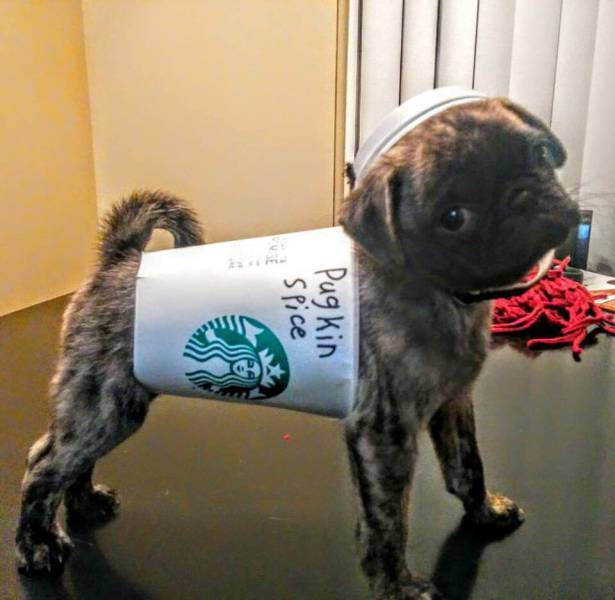 morning picdump 54 pics 2.html - 54 HD Photos | Premium Gallery 2015