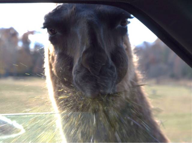 morning picdump 50 pics 9.html - 50 HD Photos | Premium Gallery 2015