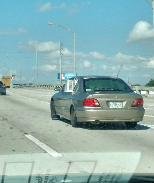 morning picdump 50 pics 9.html - 50 HD Photos | Premium Gallery 2015