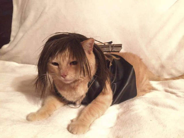 halloween costumes that totally rocked this year 100 pics 39.html - 100 HD Photos | Premium Gallery 2015