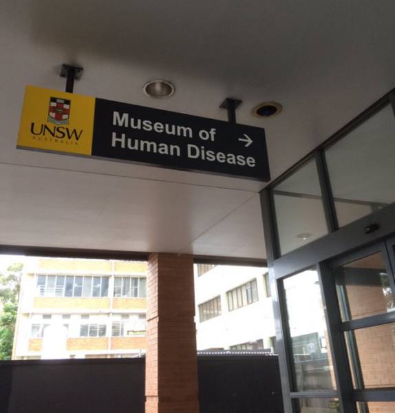 morning picdump 54 pics 2.html - 54 HD Photos | Premium Gallery 2015