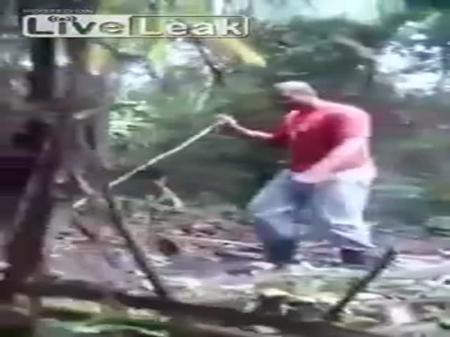 page,24,top 500 videos of the year 2015.html - 1 HD Video | Premium Gallery 2015