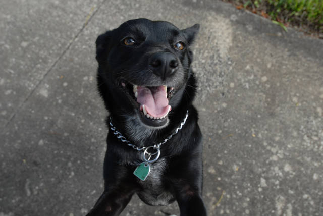 morning picdump 53 pics 10.html - 53 HD Photos | Premium Gallery 2015