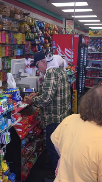 morning picdump 53 pics 10.html - 53 HD Photos | Premium Gallery 2015