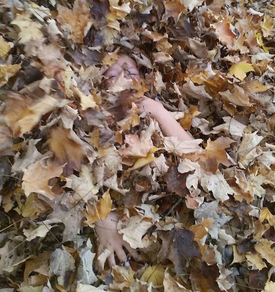 morning picdump 53 pics 10.html - 53 HD Photos | Premium Gallery 2015