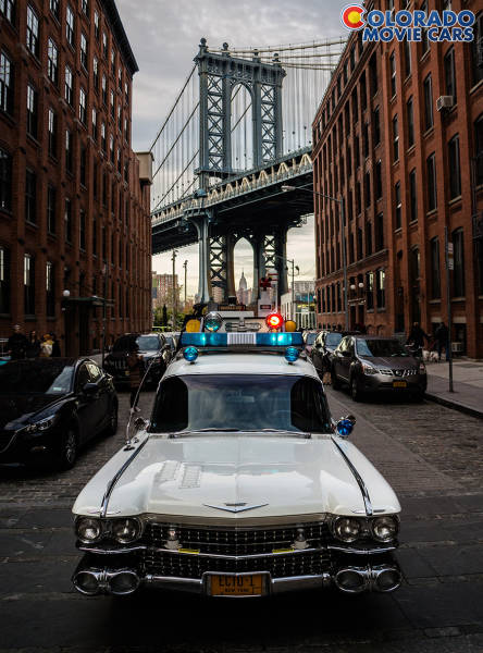 morning picdump 53 pics 10.html - 53 HD Photos | Premium Gallery 2015