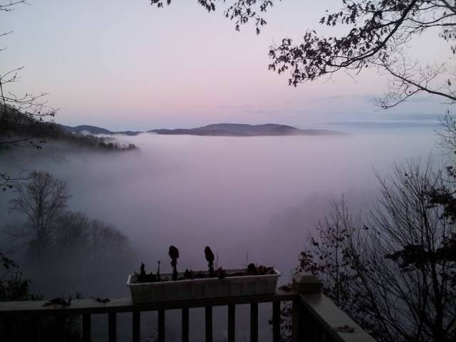 morning picdump 54 pics 22.html - 54 HD Photos | Premium Gallery 2015