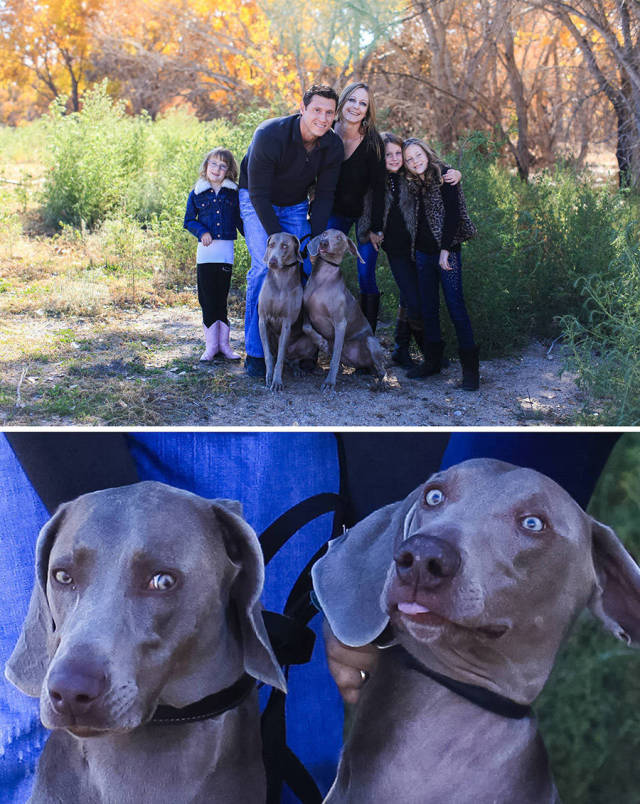 morning picdump 54 pics 22.html - 54 HD Photos | Premium Gallery 2015