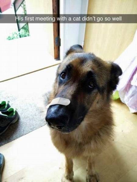 page,31,top 1500 daily pics of the year 2015.html - 1 HD Photos | Premium Gallery 2015