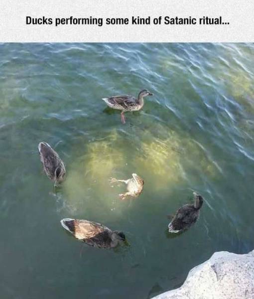 daily picdump 91 pics 65.html - 91 HD Photos | Premium Gallery 2015