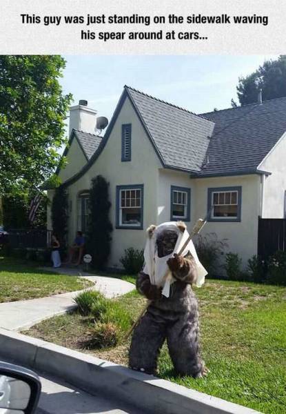 daily picdump 91 pics 65.html - 91 HD Photos | Premium Gallery 2015