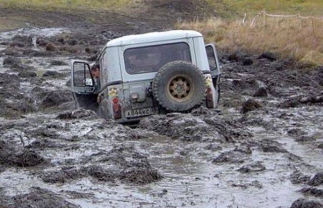 daily picdump 91 pics 65.html - 91 HD Photos | Premium Gallery 2015