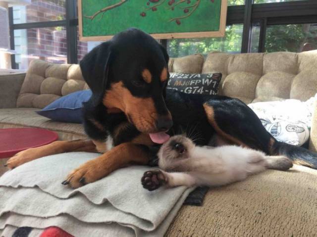 daily picdump 91 pics 65.html - 91 HD Photos | Premium Gallery 2015