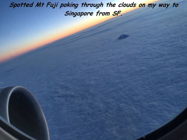 daily picdump 91 pics 65.html - 91 HD Photos | Premium Gallery 2015