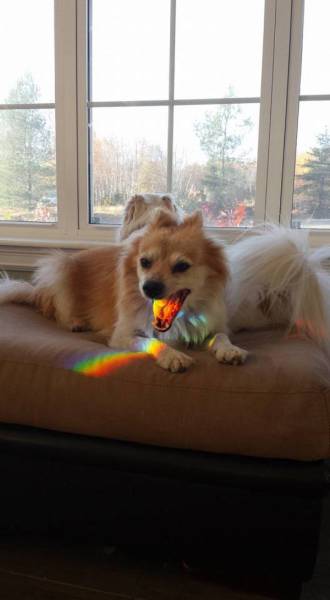 daily picdump 91 pics 65.html - 91 HD Photos | Premium Gallery 2015