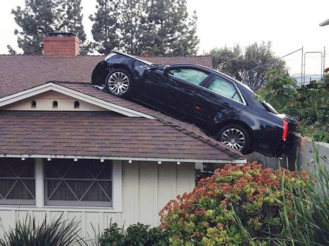 daily picdump 91 pics 65.html - 91 HD Photos | Premium Gallery 2015