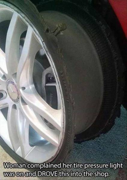 daily picdump 91 pics 65.html - 91 HD Photos | Premium Gallery 2015