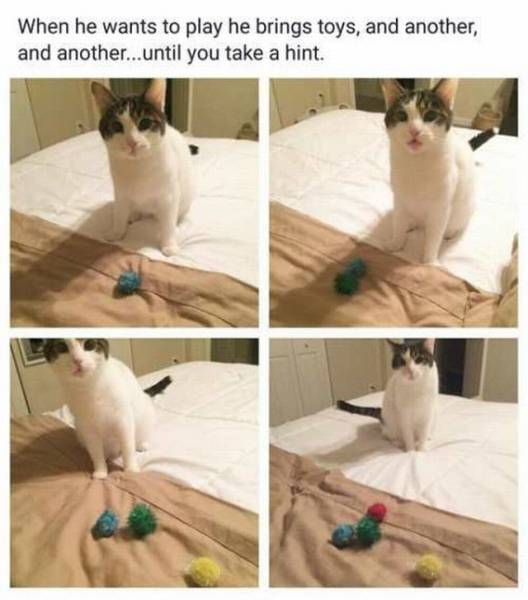 daily picdump 91 pics 65.html - 91 HD Photos | Premium Gallery 2015