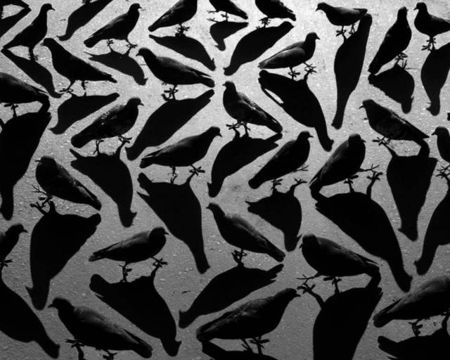 daily picdump 91 pics 65.html - 91 HD Photos | Premium Gallery 2015