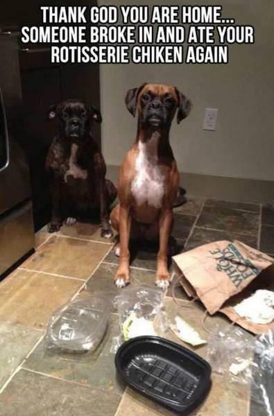 daily picdump 91 pics 65.html - 91 HD Photos | Premium Gallery 2015